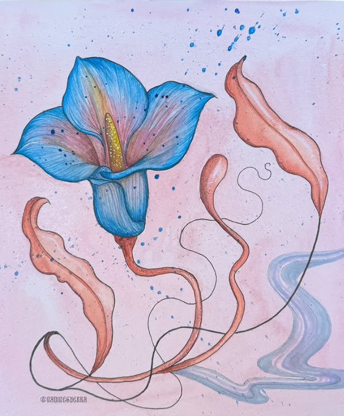 CallaLily CallaLily